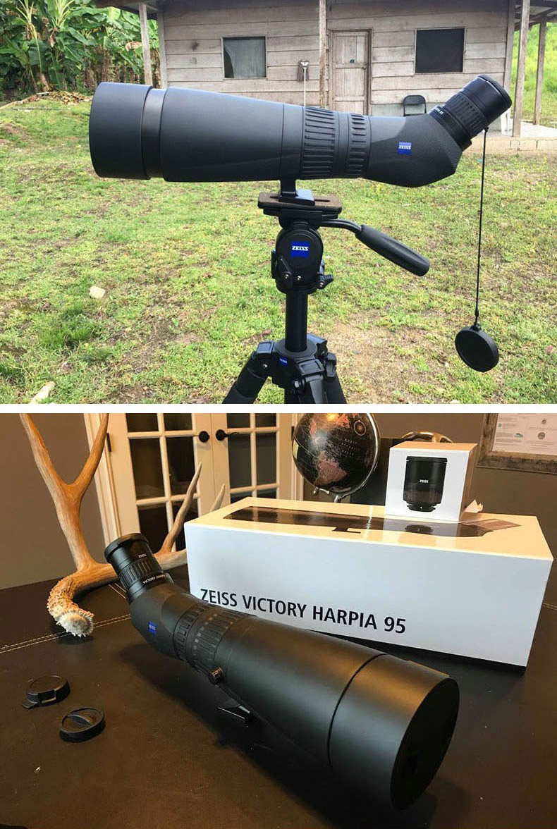 harpia5.jpg harpia5.jpg